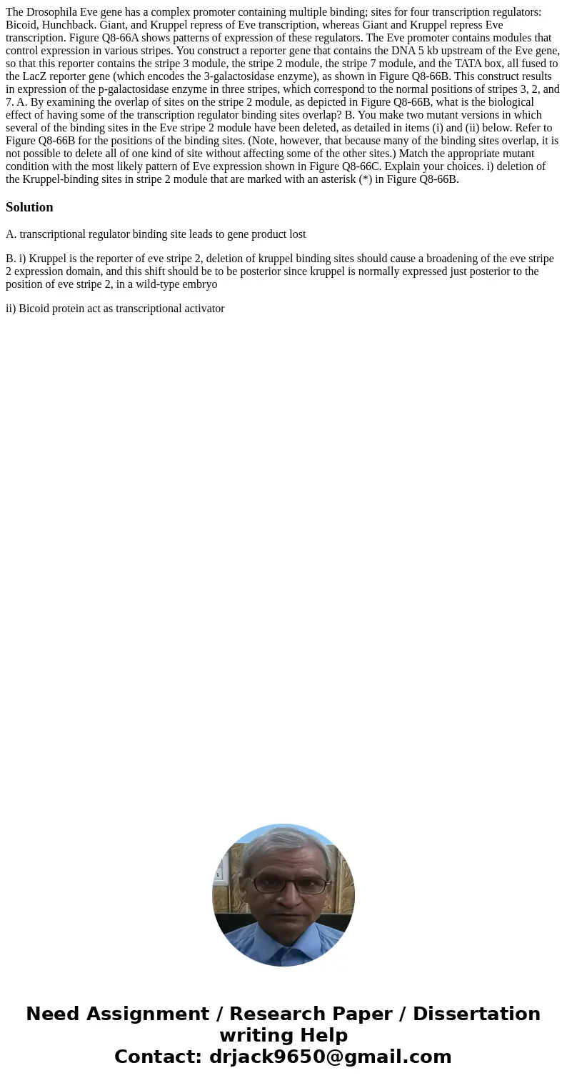 The Drosophila Eve gene has a complex promoter containing multiple binding; sites for four transcription regulators: Bicoid, Hunchback. Giant, and Kruppel repr  The Drosophila Eve gene has a complex promoter containing multiple binding; sites for four transcription regulators: Bicoid, Hunchback. Giant, and Kruppel repr