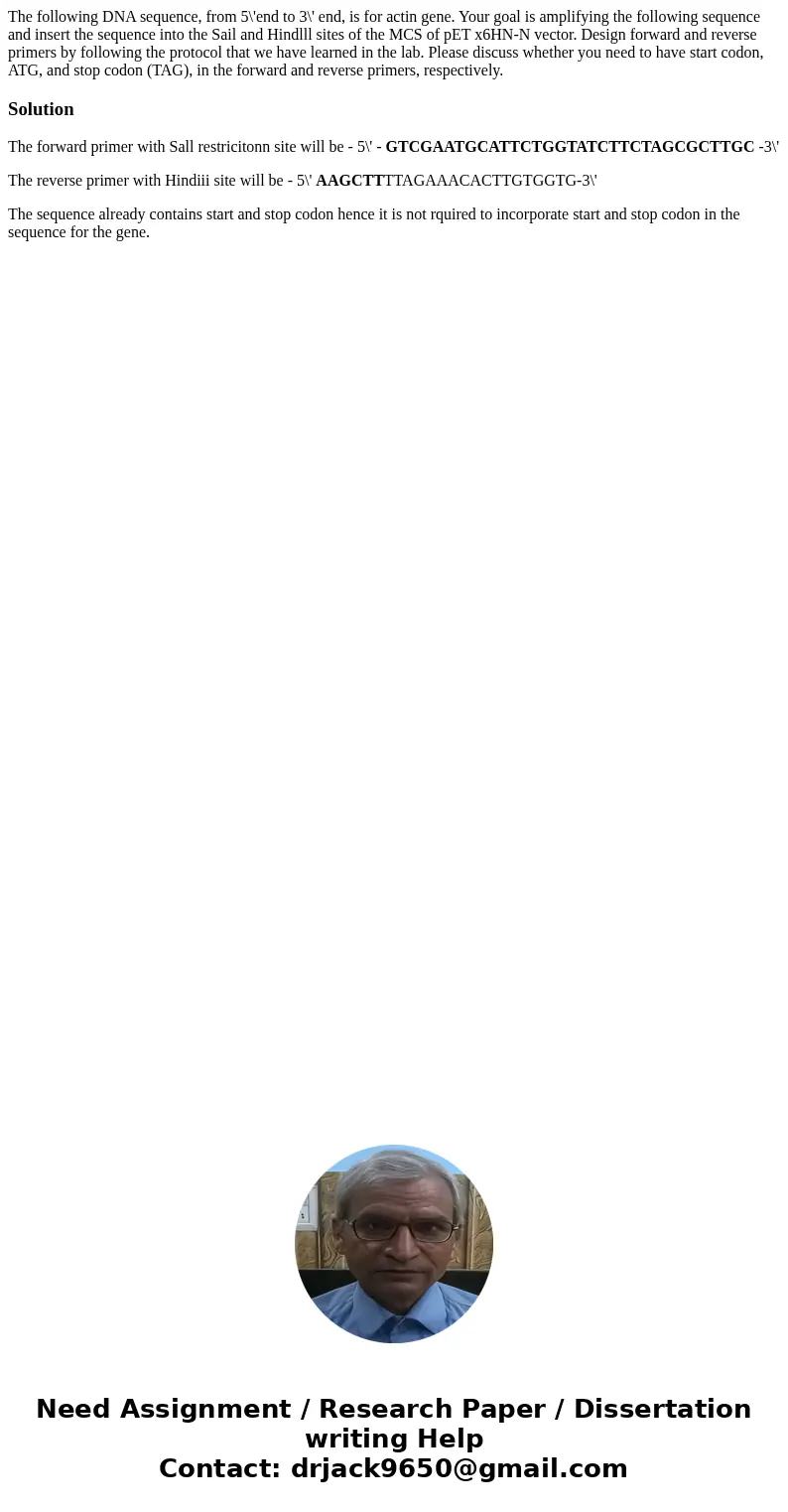 The following DNA sequence, from 5\'end to 3\' end, is for actin gene. Your goal is amplifying the following sequence and insert the sequence into the Sail and  The following DNA sequence, from 5\'end to 3\' end, is for actin gene. Your goal is amplifying the following sequence and insert the sequence into the Sail and