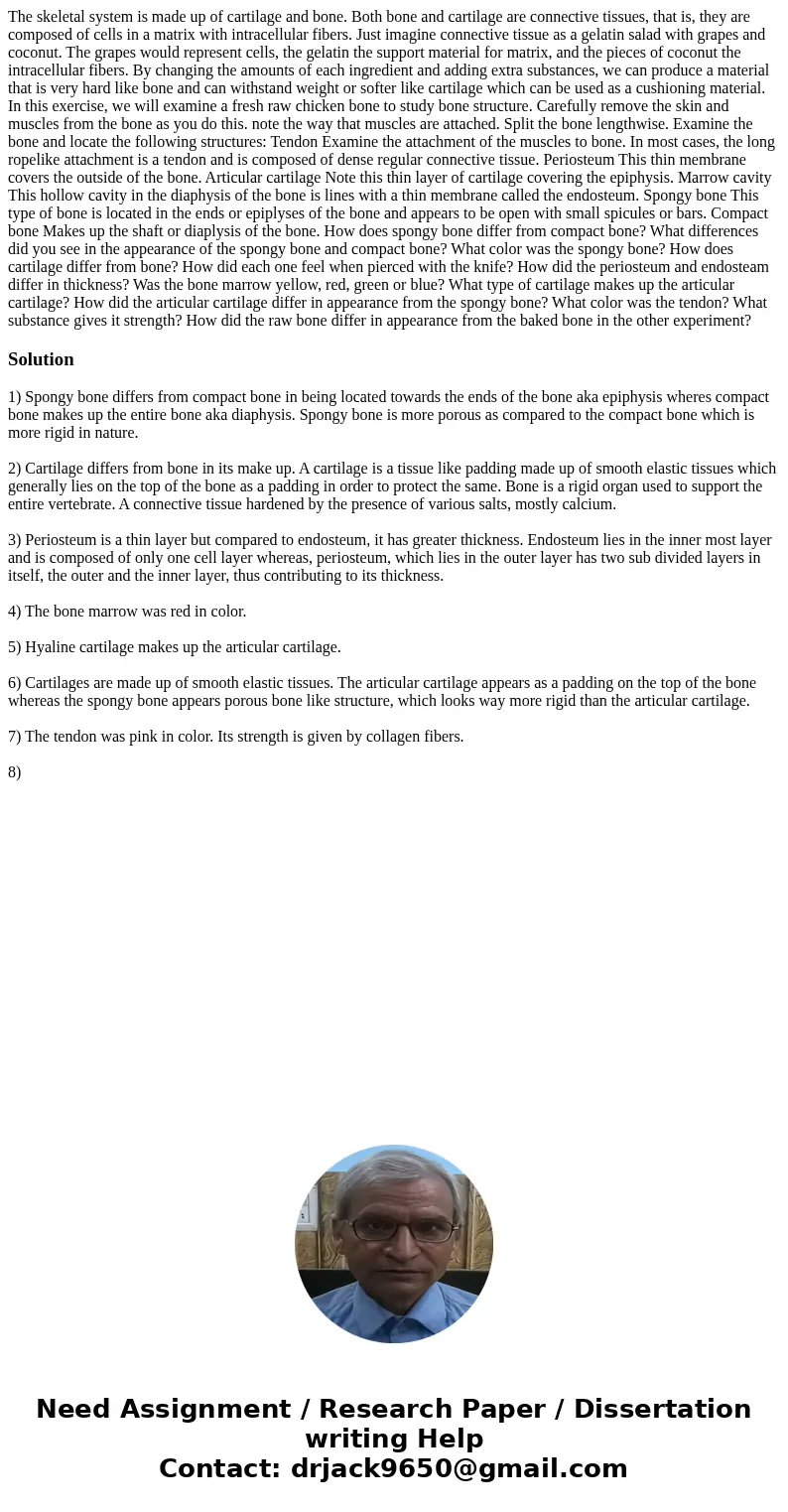  The skeletal system is made up of cartilage and bone. Both bone and cartilage are connective tissues, that is, they are composed of cells in a matrix with intr