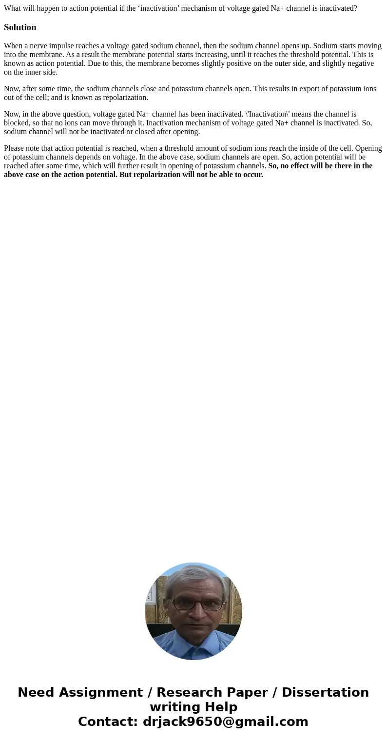 What will happen to action potential if the ‘inactivation’ mechanism of voltage gated Na+ channel is inactivated?SolutionWhen a nerve impulse reaches a voltage  What will happen to action potential if the ‘inactivation’ mechanism of voltage gated Na+ channel is inactivated?SolutionWhen a nerve impulse reaches a voltage