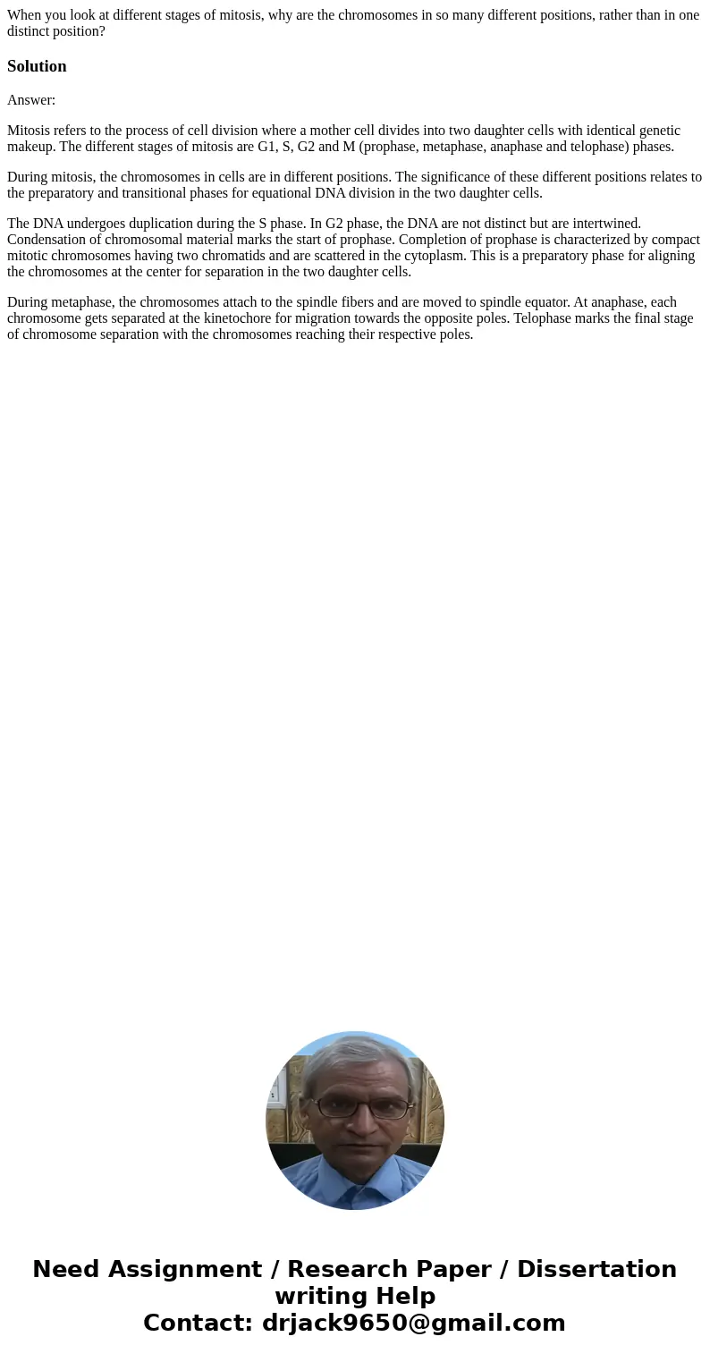 When you look at different stages of mitosis, why are the chromosomes in so many different positions, rather than in one distinct position?SolutionAnswer: Mitos When you look at different stages of mitosis, why are the chromosomes in so many different positions, rather than in one distinct position?SolutionAnswer: Mitos