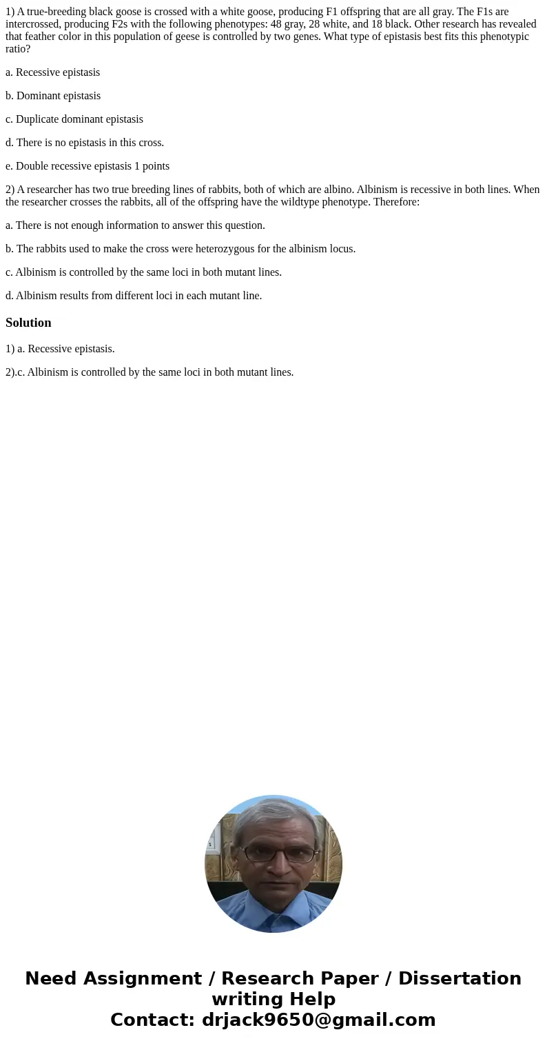 1) A true-breeding black goose is crossed with a white goose, producing F1 offspring that are all gray. The F1s are intercrossed, producing F2s with the followi 1) A true-breeding black goose is crossed with a white goose, producing F1 offspring that are all gray. The F1s are intercrossed, producing F2s with the followi