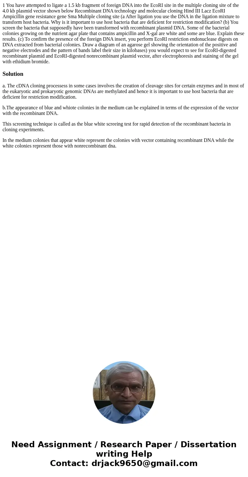 1 You have attempted to ligate a 1.5 kb fragment of foreign DNA into the EcoRI site in the multiple cloning site of the 4.0 kb plasmid vector shown below Recom  1 You have attempted to ligate a 1.5 kb fragment of foreign DNA into the EcoRI site in the multiple cloning site of the 4.0 kb plasmid vector shown below Recom