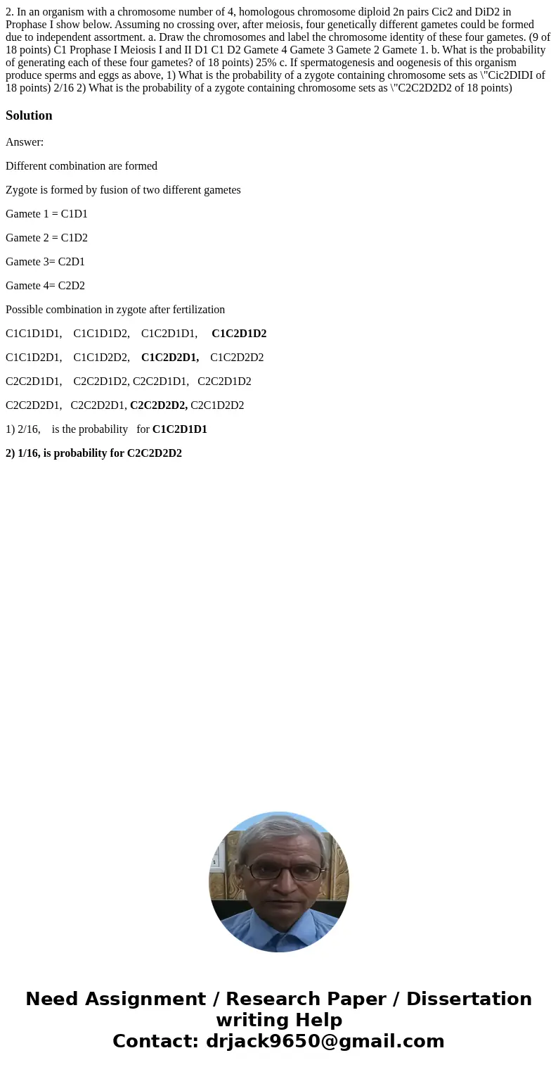  2. In an organism with a chromosome number of 4, homologous chromosome diploid 2n pairs Cic2 and DiD2 in Prophase I show below. Assuming no crossing over, afte