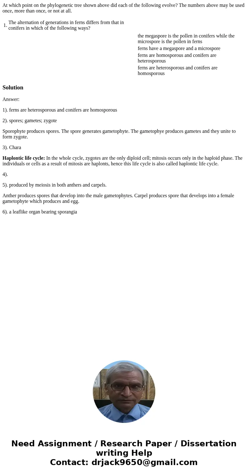 At which point on the phylogenetic tree shown above did each of the following evolve? The numbers above may be used once, more than once, or not at all. 1. The At which point on the phylogenetic tree shown above did each of the following evolve? The numbers above may be used once, more than once, or not at all. 1. The