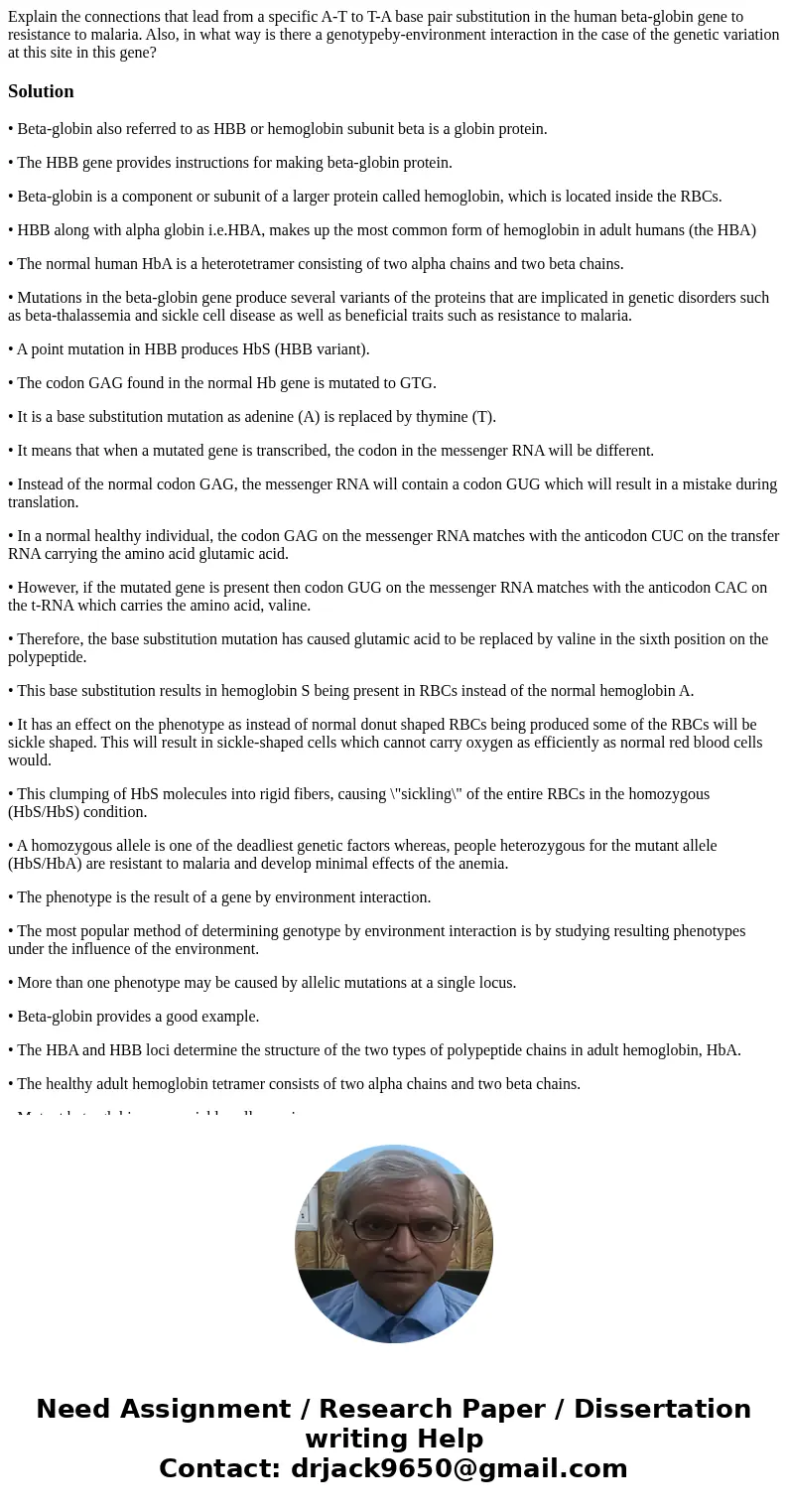 Explain the connections that lead from a specific A-T to T-A base pair substitution in the human beta-globin gene to resistance to malaria. Also, in what way is Explain the connections that lead from a specific A-T to T-A base pair substitution in the human beta-globin gene to resistance to malaria. Also, in what way is