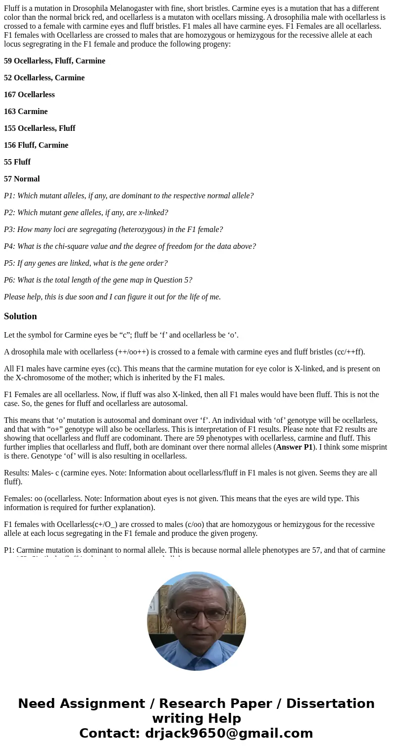 Fluff is a mutation in Drosophila Melanogaster with fine, short bristles. Carmine eyes is a mutation that has a different color than the normal brick red, and o Fluff is a mutation in Drosophila Melanogaster with fine, short bristles. Carmine eyes is a mutation that has a different color than the normal brick red, and o