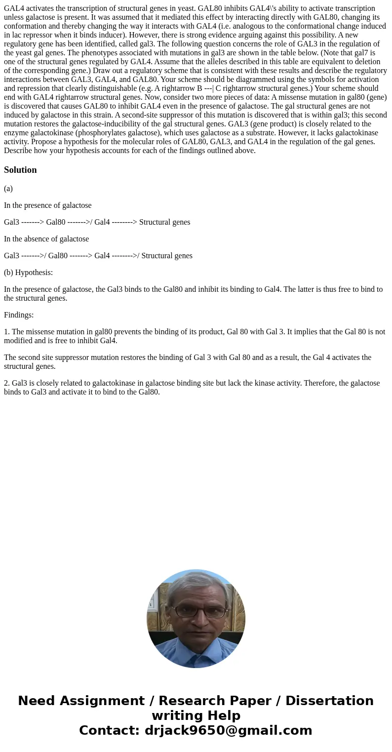  GAL4 activates the transcription of structural genes in yeast. GAL80 inhibits GAL4\'s ability to activate transcription unless galactose is present. It was ass