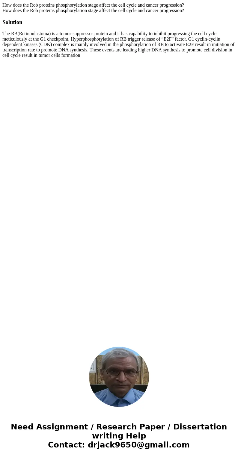 How does the Rob proteins phosphorylation stage affect the cell cycle and cancer progression? How does the Rob proteins phosphorylation stage affect the cell cy How does the Rob proteins phosphorylation stage affect the cell cycle and cancer progression? How does the Rob proteins phosphorylation stage affect the cell cy