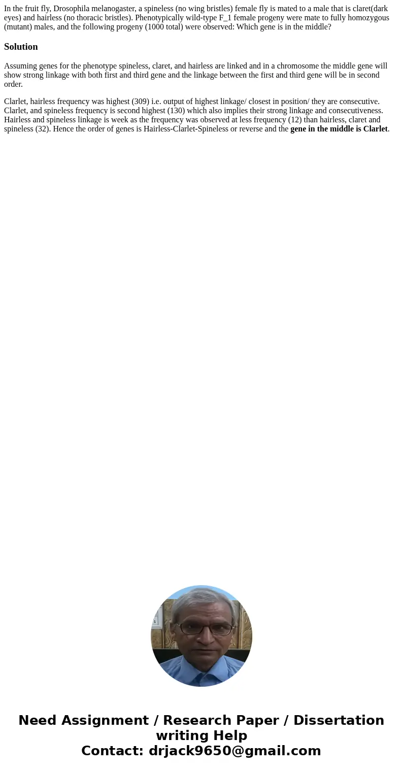 In the fruit fly, Drosophila melanogaster, a spineless (no wing bristles) female fly is mated to a male that is claret(dark eyes) and hairless (no thoracic bri  In the fruit fly, Drosophila melanogaster, a spineless (no wing bristles) female fly is mated to a male that is claret(dark eyes) and hairless (no thoracic bri