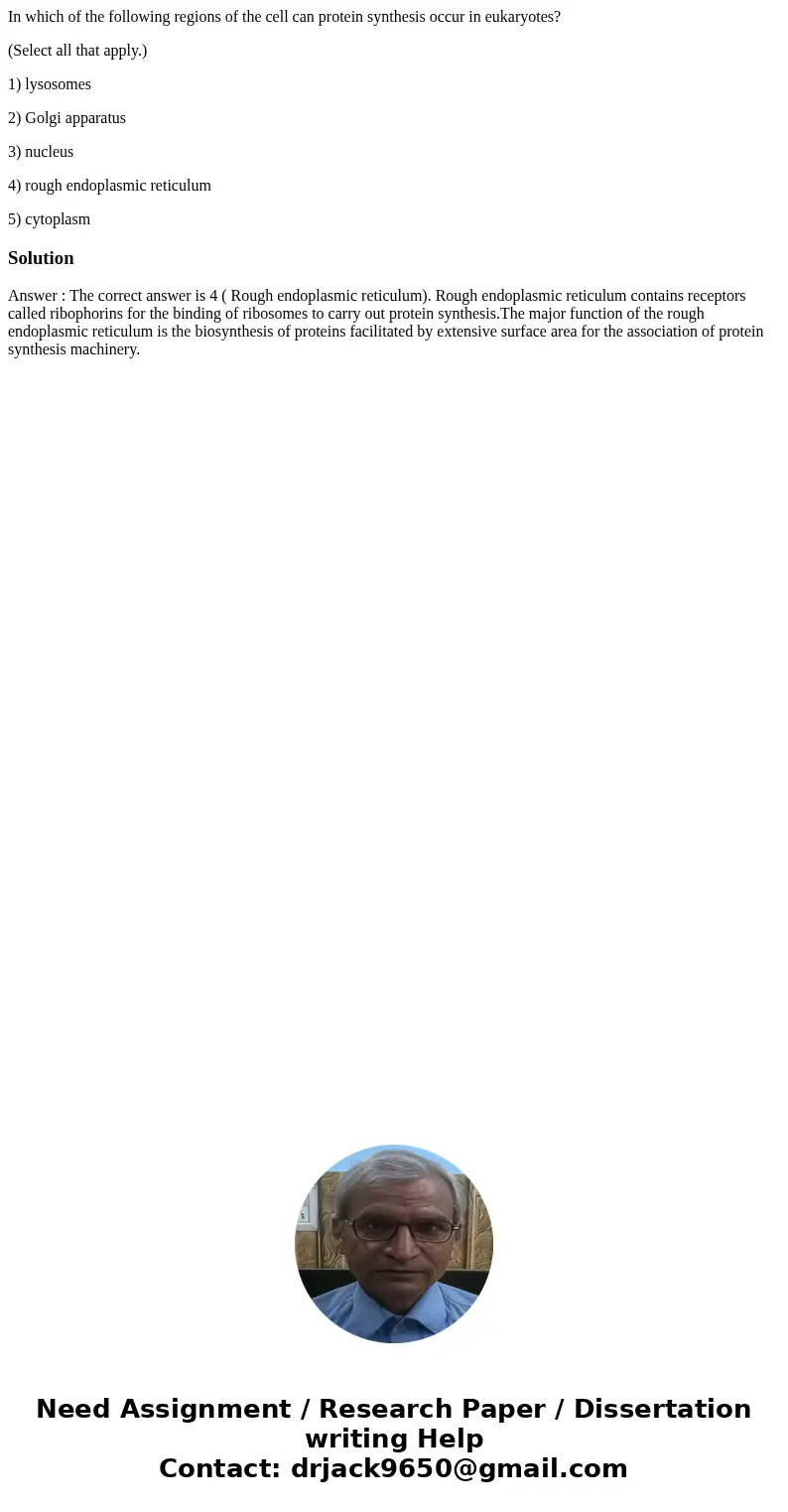 In which of the following regions of the cell can protein synthesis occur in eukaryotes? (Select all that apply.) 1) lysosomes 2) Golgi apparatus 3) nucleus 4)  In which of the following regions of the cell can protein synthesis occur in eukaryotes? (Select all that apply.) 1) lysosomes 2) Golgi apparatus 3) nucleus 4)