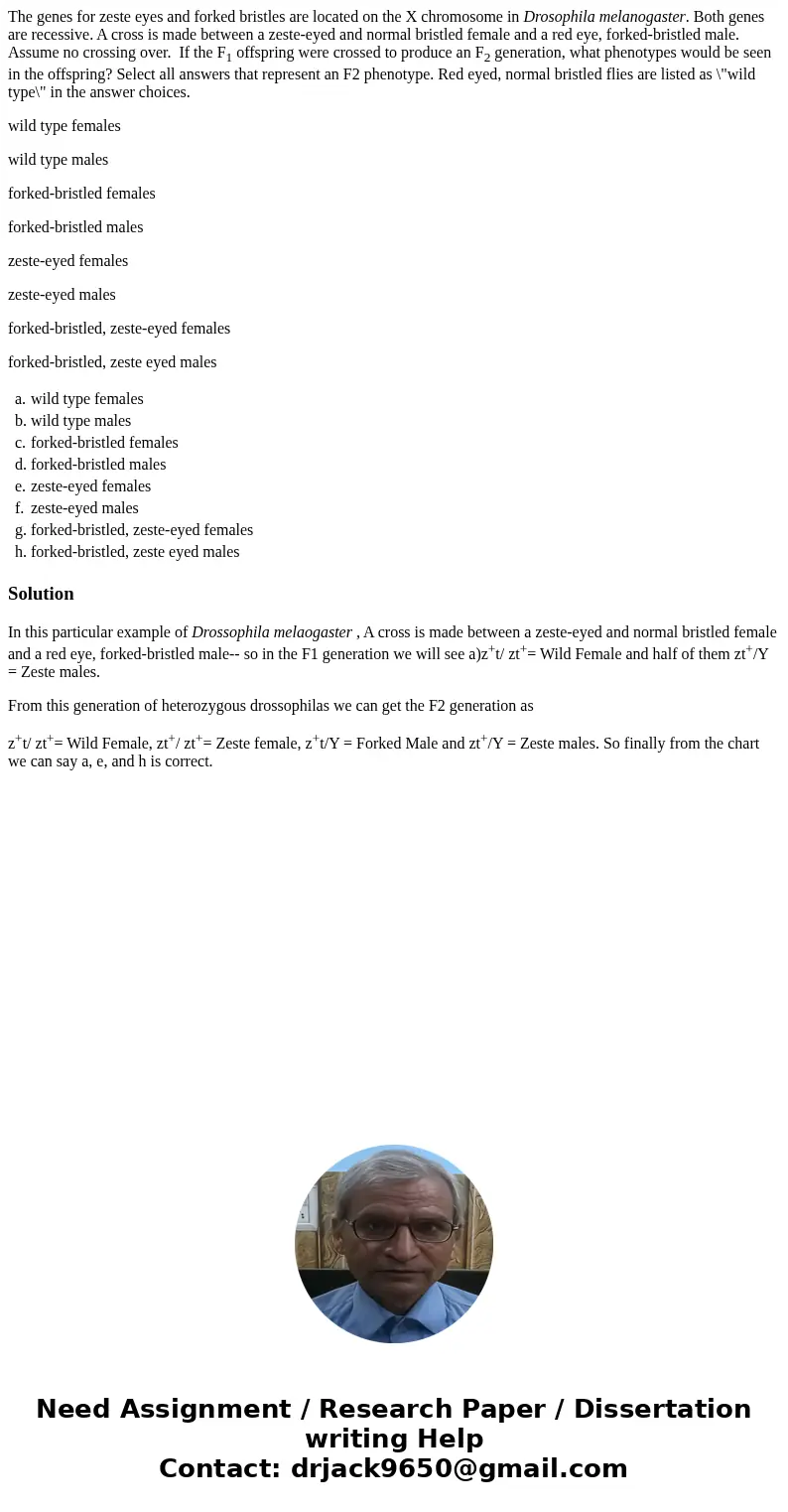 The genes for zeste eyes and forked bristles are located on the X chromosome in Drosophila melanogaster. Both genes are recessive. A cross is made between a zes