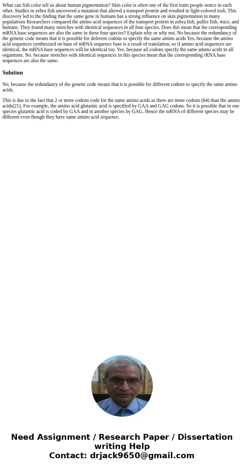 What can fish color tell us about human pigmentation? Skin color is often one of the first traits people notice in each other. Studies in zebra fish uncovered   What can fish color tell us about human pigmentation? Skin color is often one of the first traits people notice in each other. Studies in zebra fish uncovered