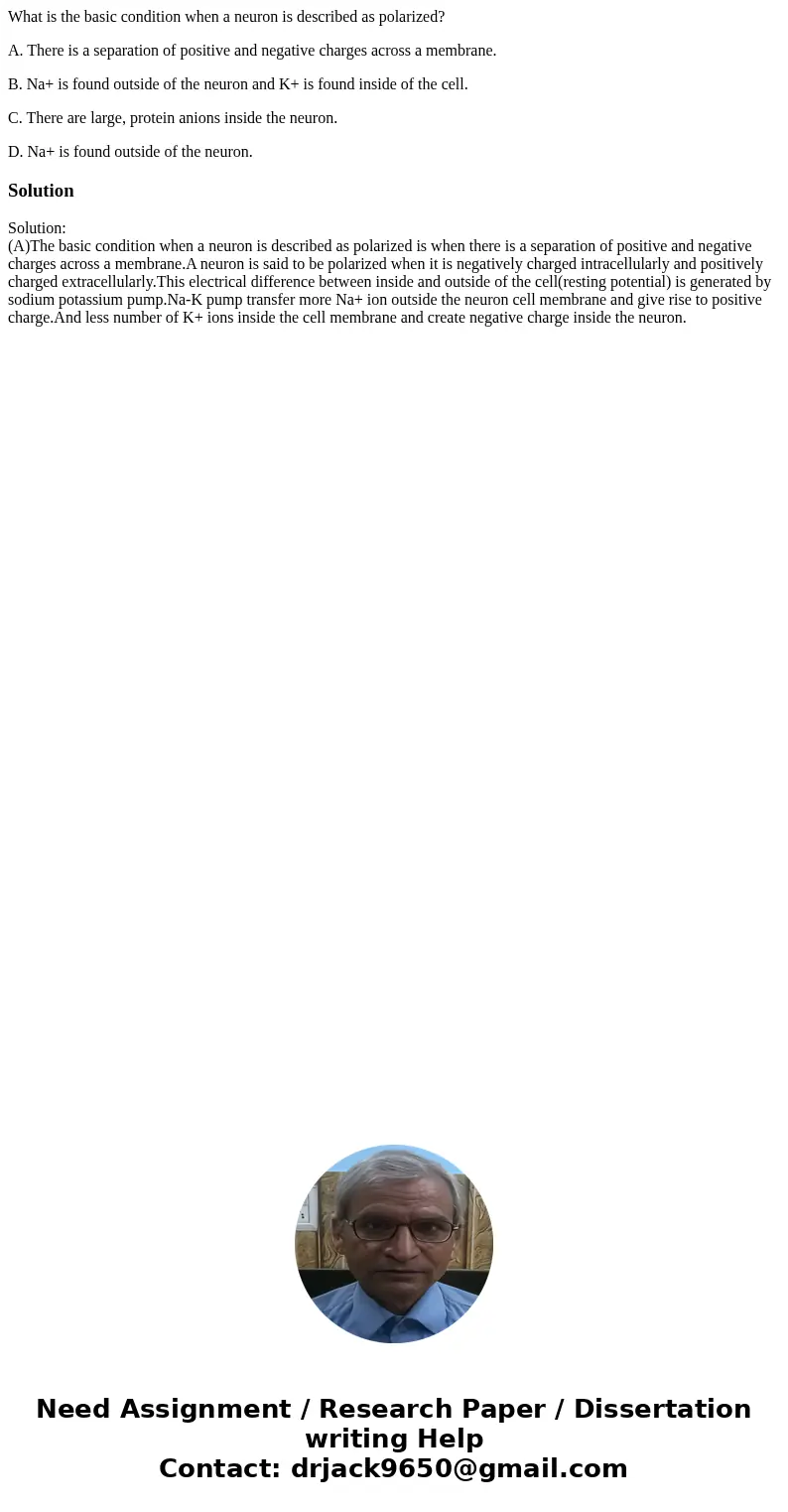 What is the basic condition when a neuron is described as polarized? A. There is a separation of positive and negative charges across a membrane. B. Na+ is foun