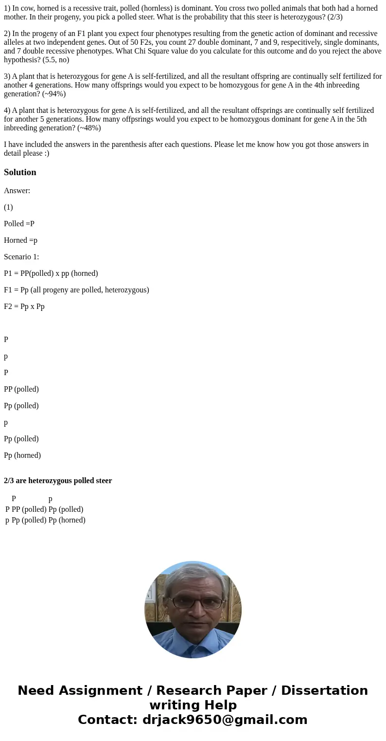 1) In cow, horned is a recessive trait, polled (hornless) is dominant. You cross two polled animals that both had a horned mother. In their progeny, you pick a  1) In cow, horned is a recessive trait, polled (hornless) is dominant. You cross two polled animals that both had a horned mother. In their progeny, you pick a