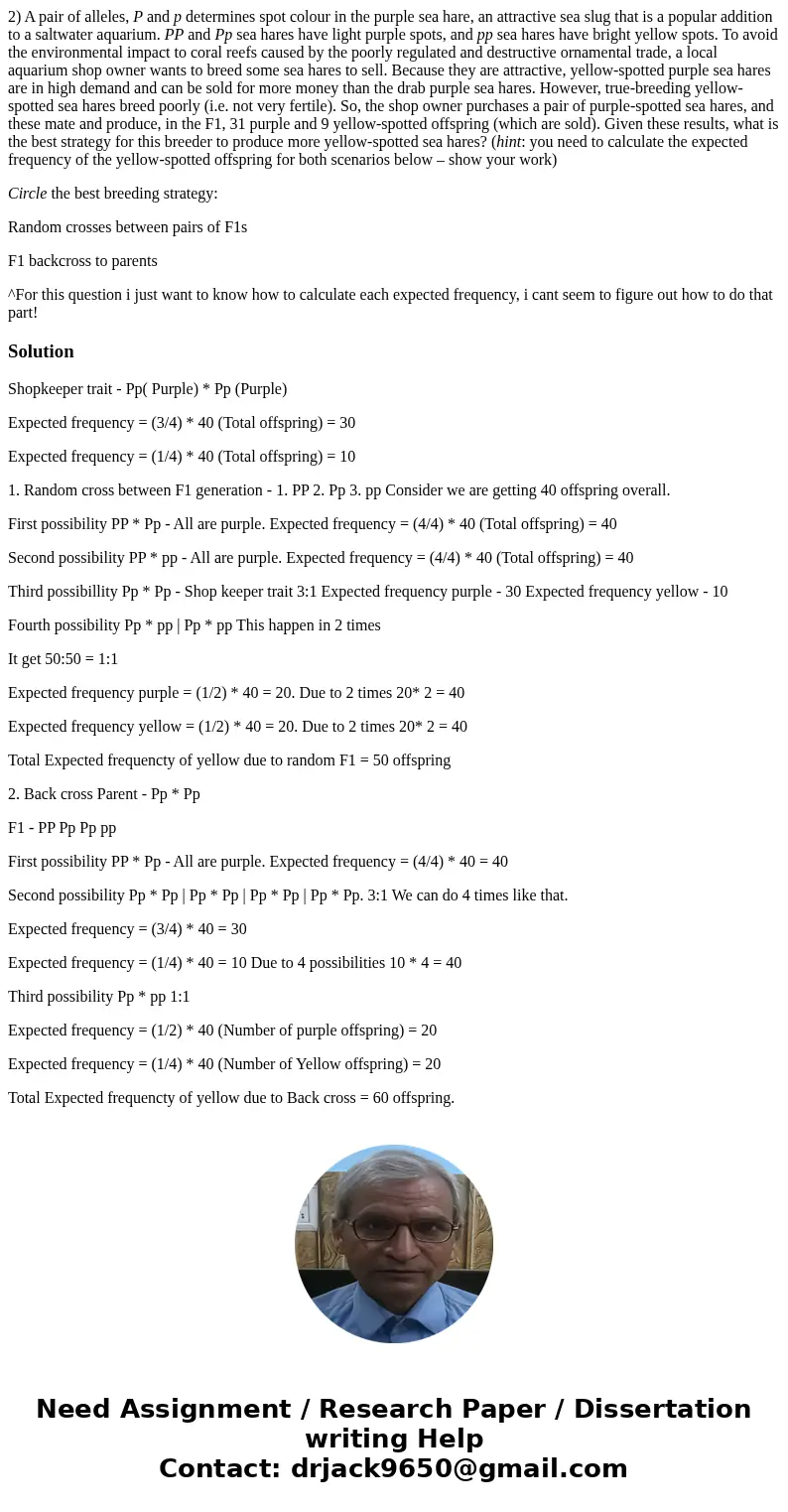 2) A pair of alleles, P and p determines spot colour in the purple sea hare, an attractive sea slug that is a popular addition to a saltwater aquarium. PP and P 2) A pair of alleles, P and p determines spot colour in the purple sea hare, an attractive sea slug that is a popular addition to a saltwater aquarium. PP and P