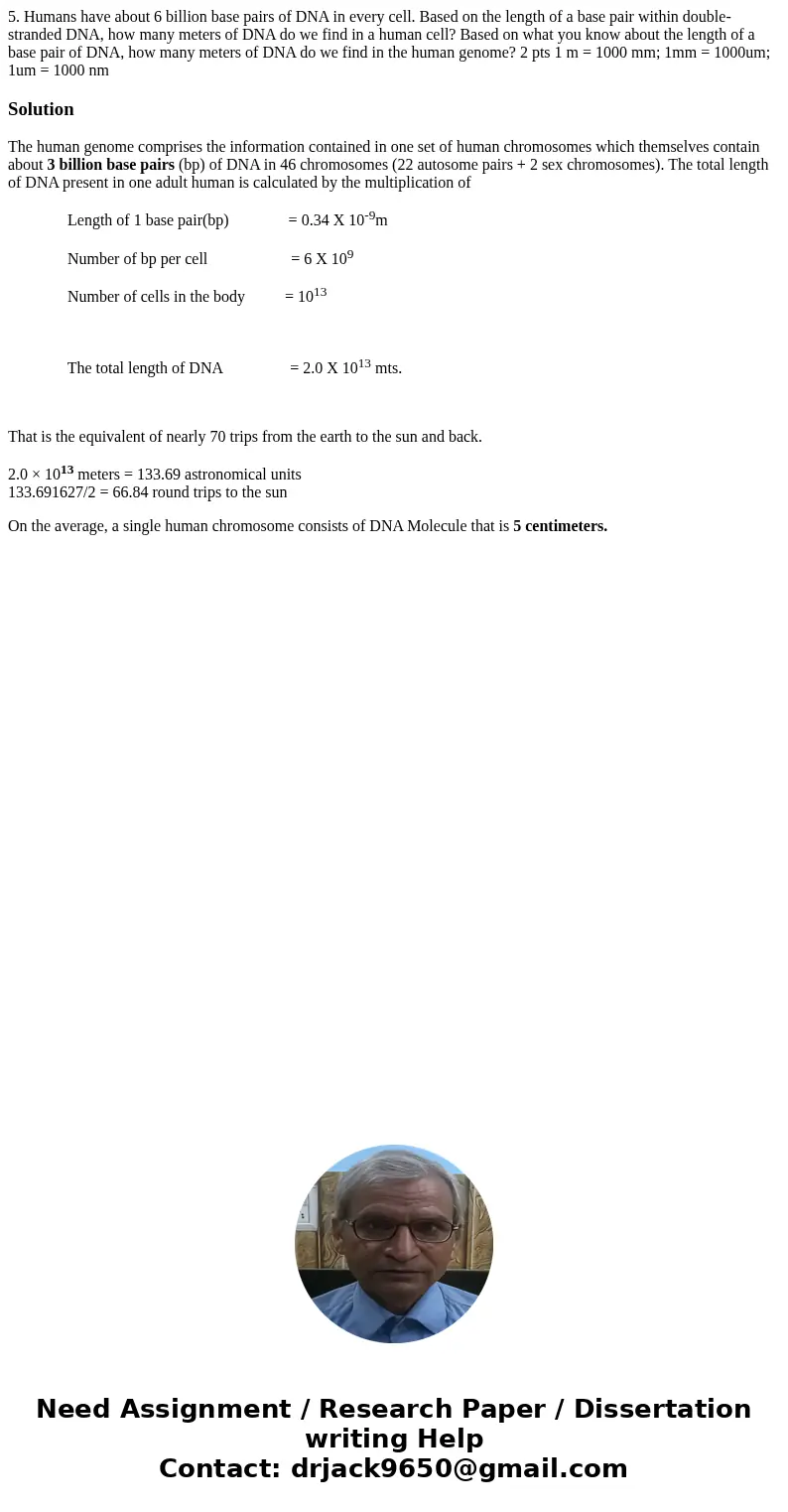 5. Humans have about 6 billion base pairs of DNA in every cell. Based on the length of a base pair within double-stranded DNA, how many meters of DNA do we find 5. Humans have about 6 billion base pairs of DNA in every cell. Based on the length of a base pair within double-stranded DNA, how many meters of DNA do we find