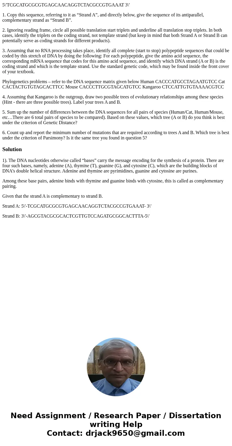 5\'TCGCATGCGCGTGAGCAACAGGTCTACGCCGTGAAAT 3\' 1. Copy this sequence, referring to it as “Strand A”, and directly below, give the sequence of its antiparallel, co 5\'TCGCATGCGCGTGAGCAACAGGTCTACGCCGTGAAAT 3\' 1. Copy this sequence, referring to it as “Strand A”, and directly below, give the sequence of its antiparallel, co