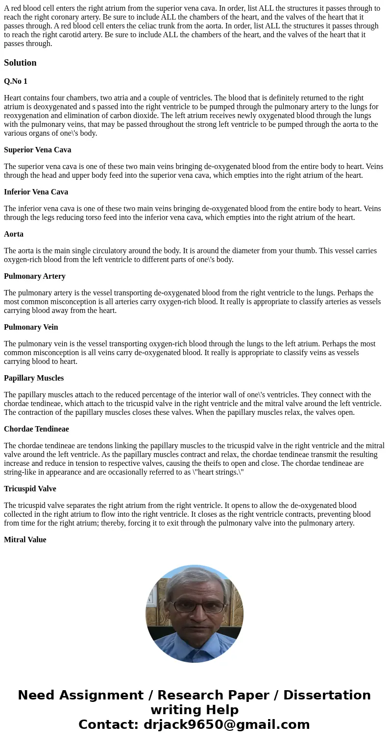 A red blood cell enters the right atrium from the superior vena cava. In order, list ALL the structures it passes through to reach the right coronary artery. B  A red blood cell enters the right atrium from the superior vena cava. In order, list ALL the structures it passes through to reach the right coronary artery. B