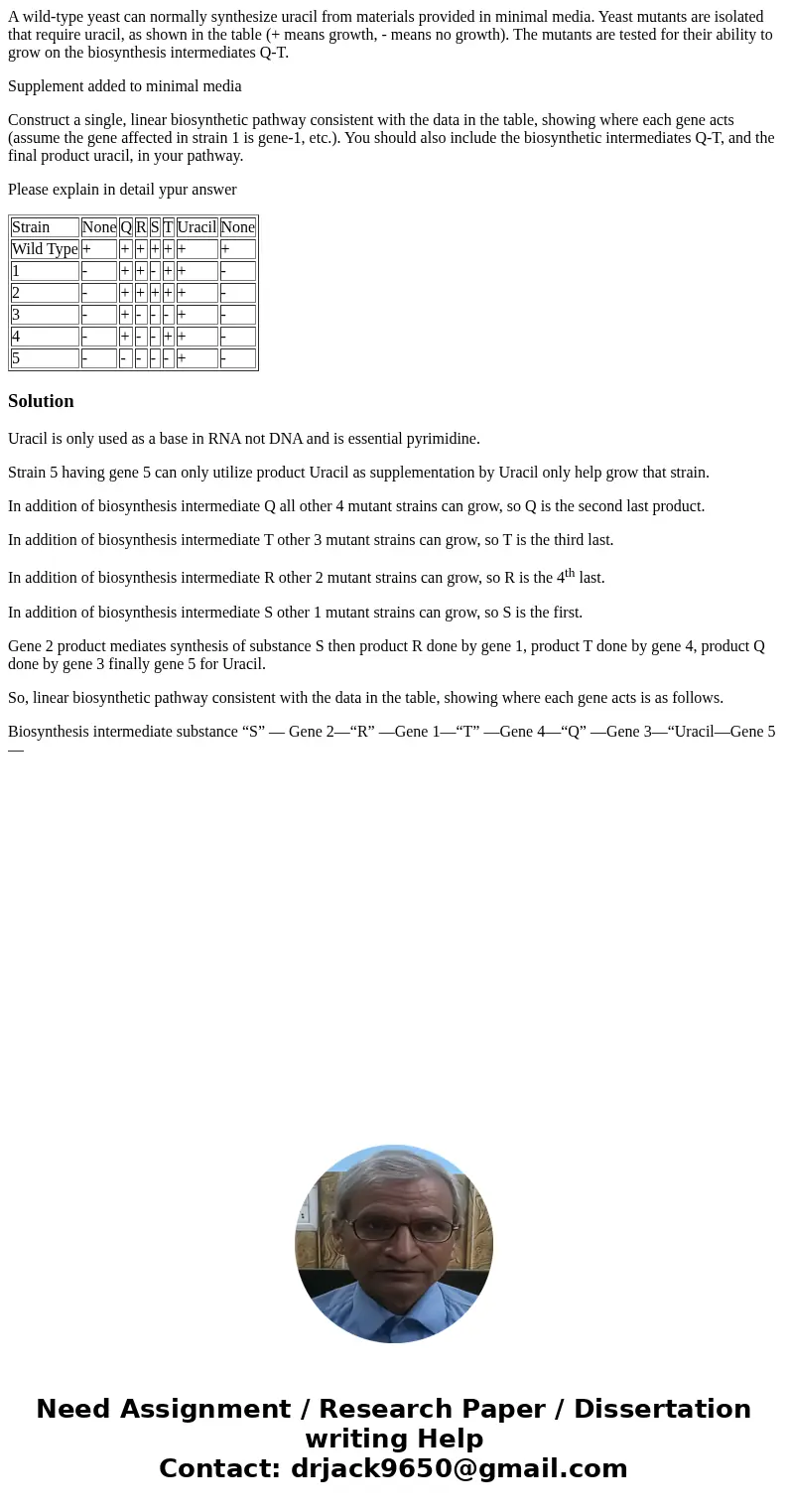 A wild-type yeast can normally synthesize uracil from materials provided in minimal media. Yeast mutants are isolated that require uracil, as shown in the table A wild-type yeast can normally synthesize uracil from materials provided in minimal media. Yeast mutants are isolated that require uracil, as shown in the table