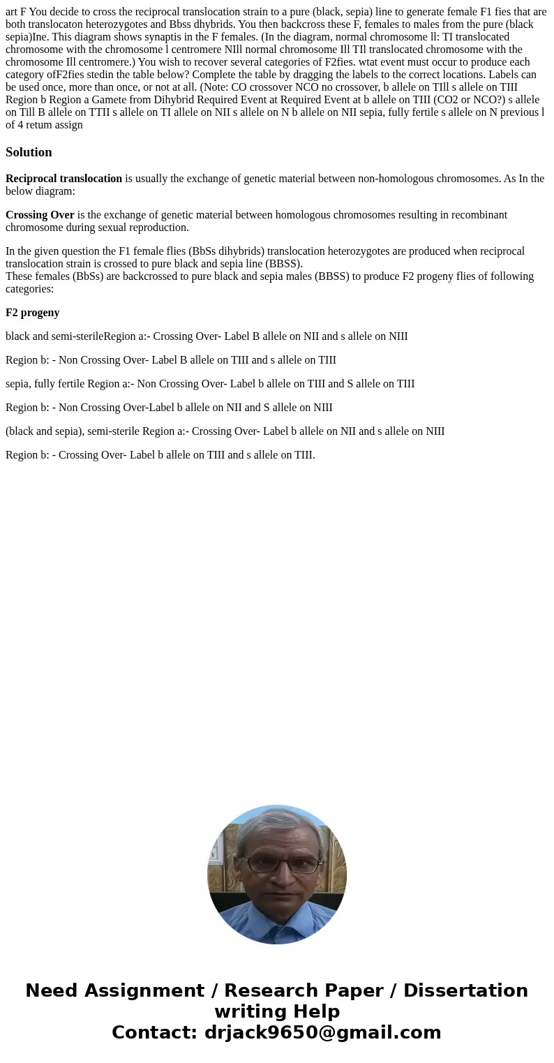 art F You decide to cross the reciprocal translocation strain to a pure (black, sepia) line to generate female F1 fies that are both translocaton heterozygotes  art F You decide to cross the reciprocal translocation strain to a pure (black, sepia) line to generate female F1 fies that are both translocaton heterozygotes