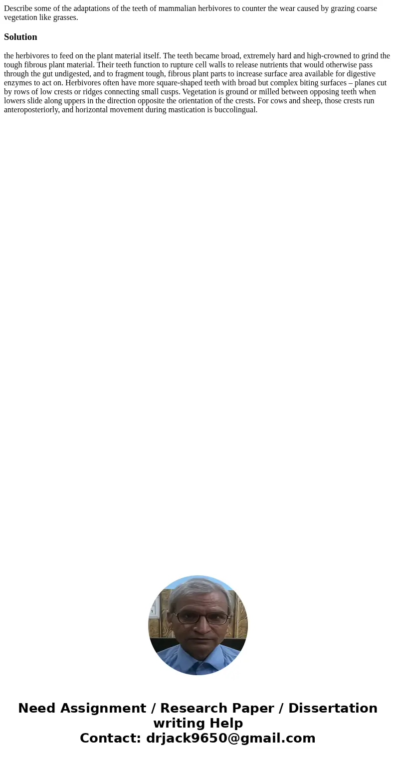 Describe some of the adaptations of the teeth of mammalian herbivores to counter the wear caused by grazing coarse vegetation like grasses.Solutionthe herbivore Describe some of the adaptations of the teeth of mammalian herbivores to counter the wear caused by grazing coarse vegetation like grasses.Solutionthe herbivore