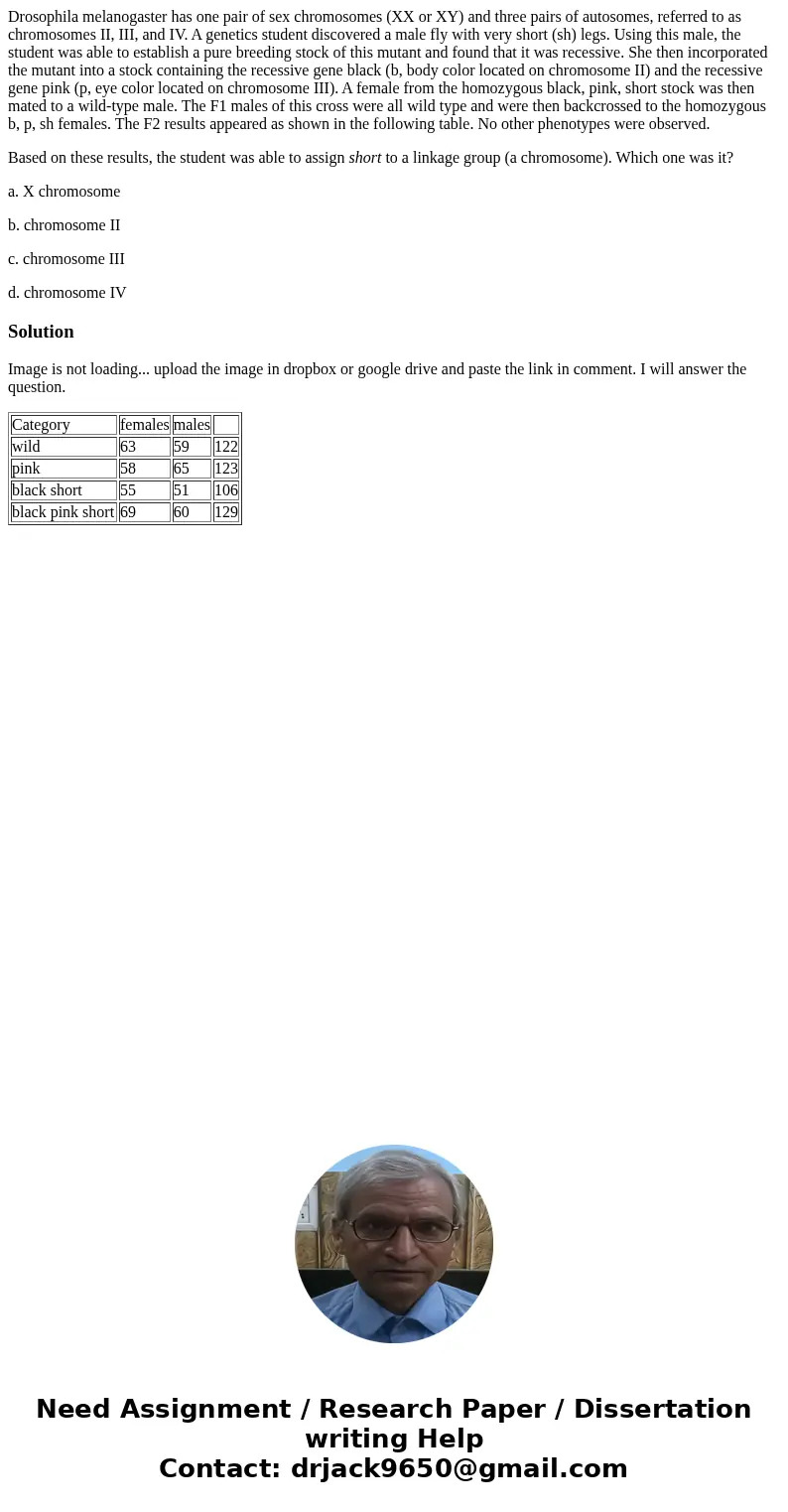 Drosophila melanogaster has one pair of sex chromosomes (XX or XY) and three pairs of autosomes, referred to as chromosomes II, III, and IV. A genetics student  Drosophila melanogaster has one pair of sex chromosomes (XX or XY) and three pairs of autosomes, referred to as chromosomes II, III, and IV. A genetics student