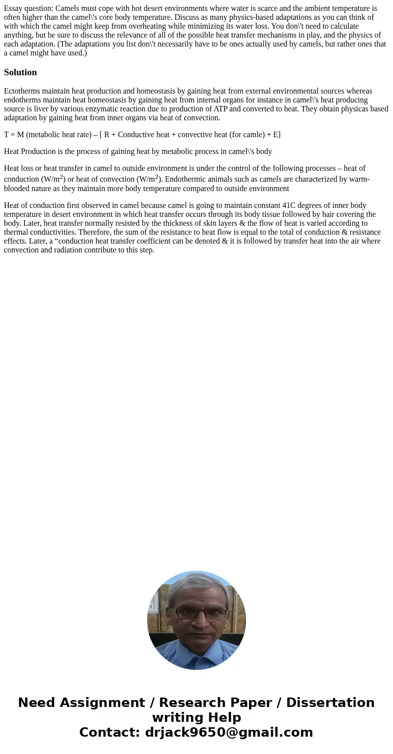 Essay question: Camels must cope with hot desert environments where water is scarce and the ambient temperature is often higher than the camel\'s core body tem  Essay question: Camels must cope with hot desert environments where water is scarce and the ambient temperature is often higher than the camel\'s core body tem
