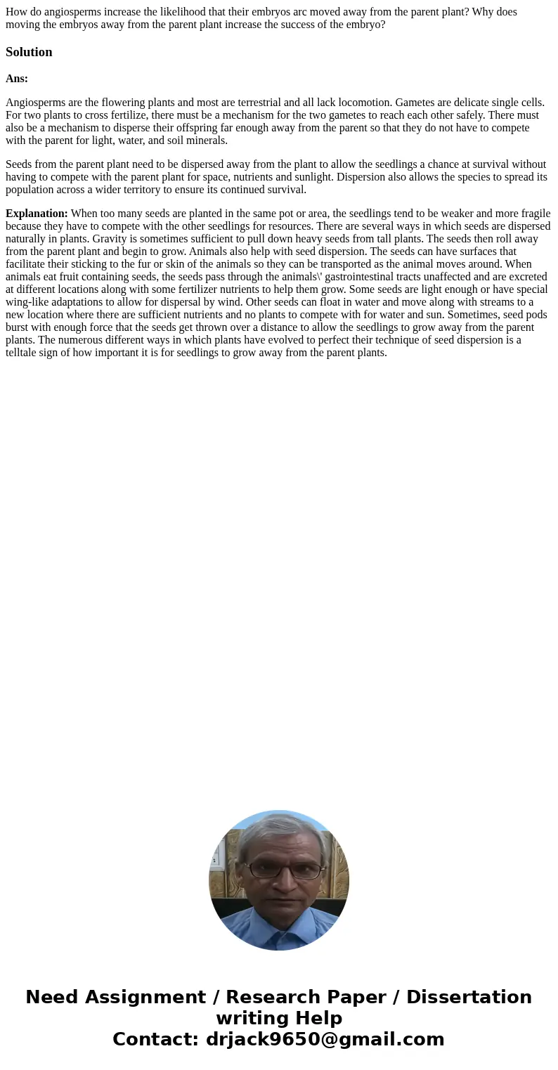 How do angiosperms increase the likelihood that their embryos arc moved away from the parent plant? Why does moving the embryos away from the parent plant incr  How do angiosperms increase the likelihood that their embryos arc moved away from the parent plant? Why does moving the embryos away from the parent plant incr