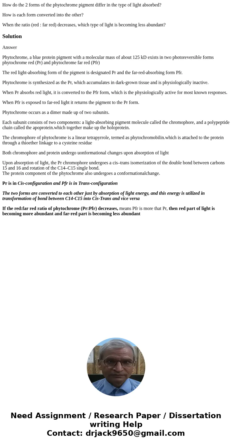 How do the 2 forms of the phytochrome pigment differ in the type of light absorbed? How is each form converted into the other? When the ratio (red : far red) de
