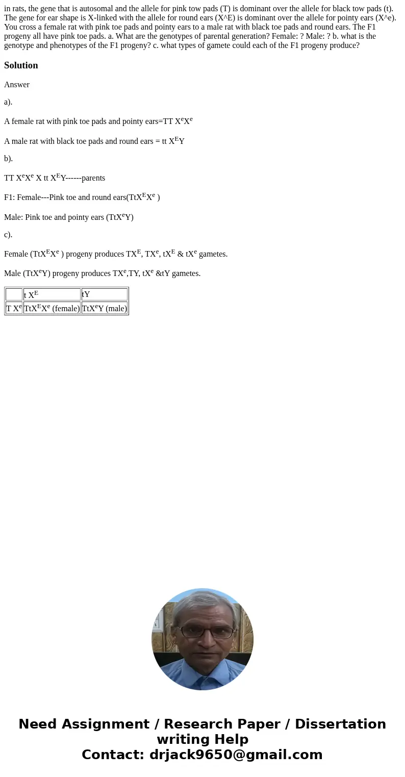 in rats, the gene that is autosomal and the allele for pink tow pads (T) is dominant over the allele for black tow pads (t). The gene for ear shape is X-linked 