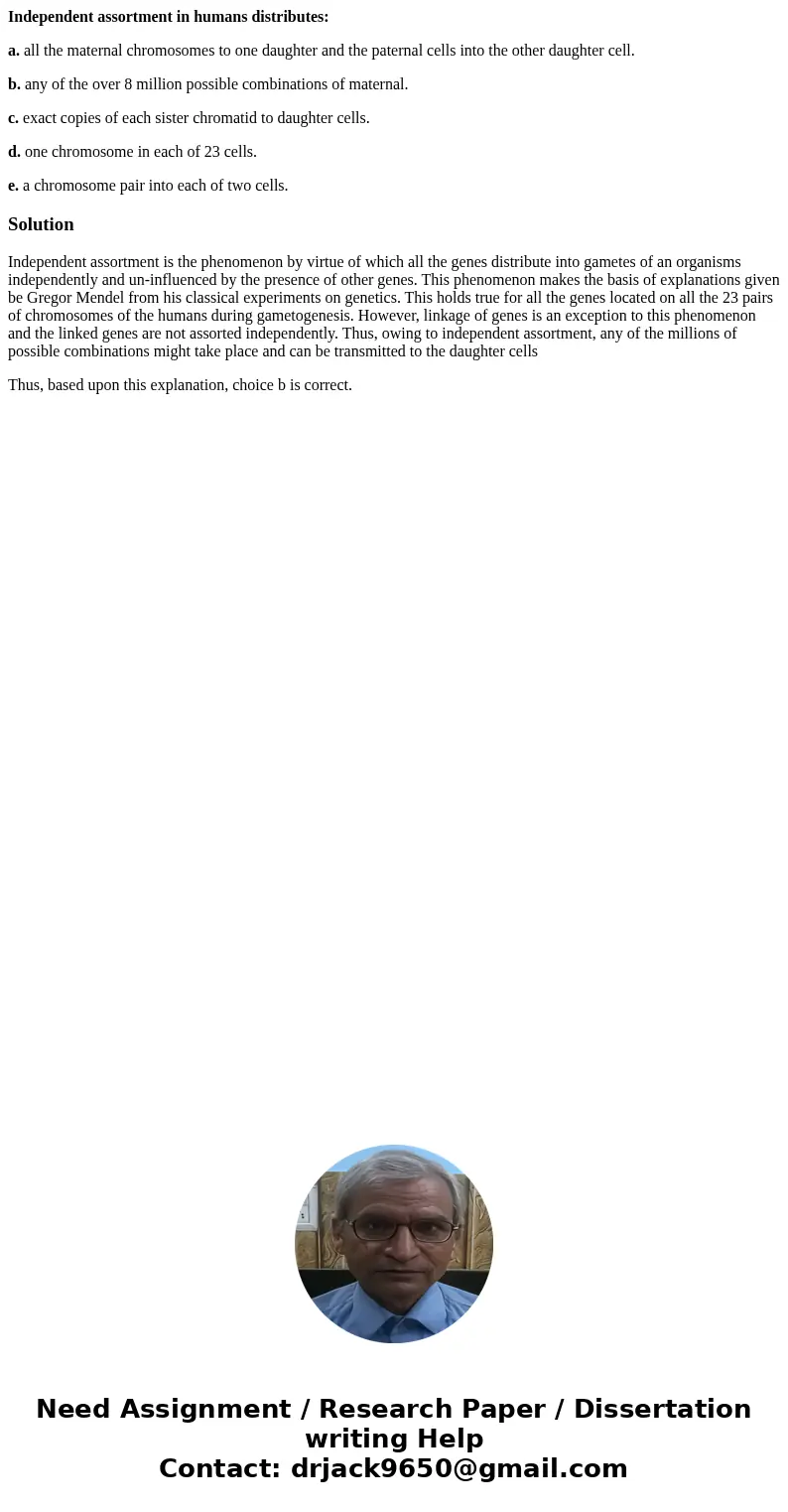 Independent assortment in humans distributes: a. all the maternal chromosomes to one daughter and the paternal cells into the other daughter cell. b. any of the Independent assortment in humans distributes: a. all the maternal chromosomes to one daughter and the paternal cells into the other daughter cell. b. any of the