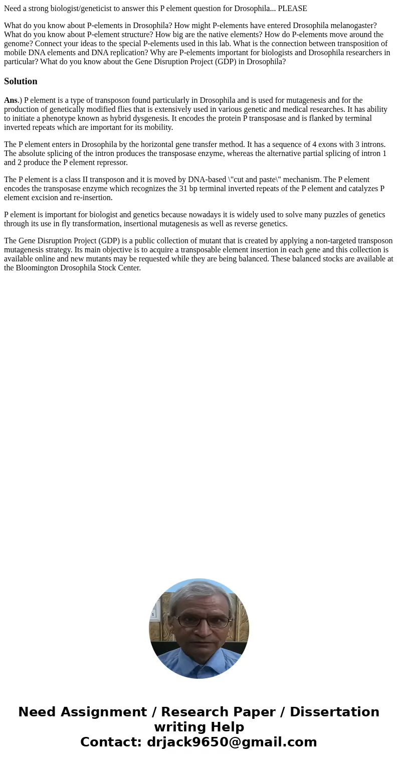 Need a strong biologist/geneticist to answer this P element question for Drosophila... PLEASE What do you know about P-elements in Drosophila? How might P-eleme Need a strong biologist/geneticist to answer this P element question for Drosophila... PLEASE What do you know about P-elements in Drosophila? How might P-eleme