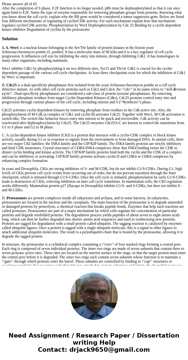 Please answer all of #5 After the completion of S phase, F.2F function is no longer needed. pRb must be dephosphorylated so that it can once again bind to E2F.  Please answer all of #5 After the completion of S phase, F.2F function is no longer needed. pRb must be dephosphorylated so that it can once again bind to E2F.