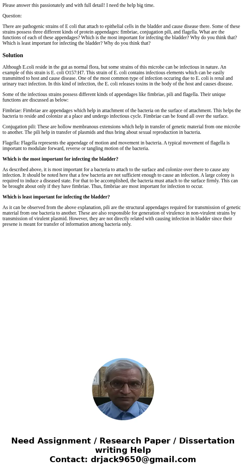 Please answer this passionately and with full detail! I need the help big time. Question: There are pathogenic strains of E coli that attach to epithelial cells Please answer this passionately and with full detail! I need the help big time. Question: There are pathogenic strains of E coli that attach to epithelial cells