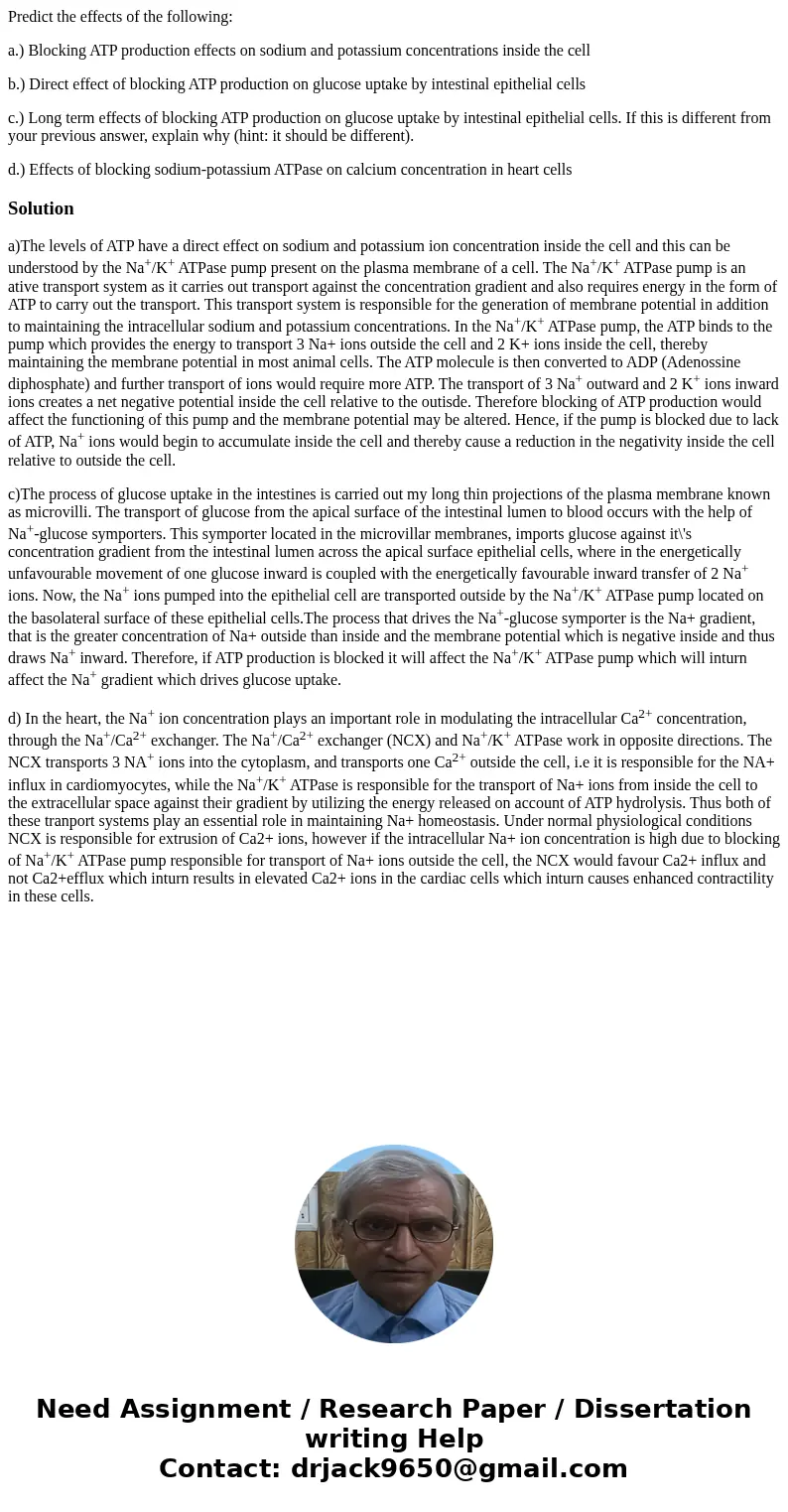 Predict the effects of the following: a.) Blocking ATP production effects on sodium and potassium concentrations inside the cell b.) Direct effect of blocking A