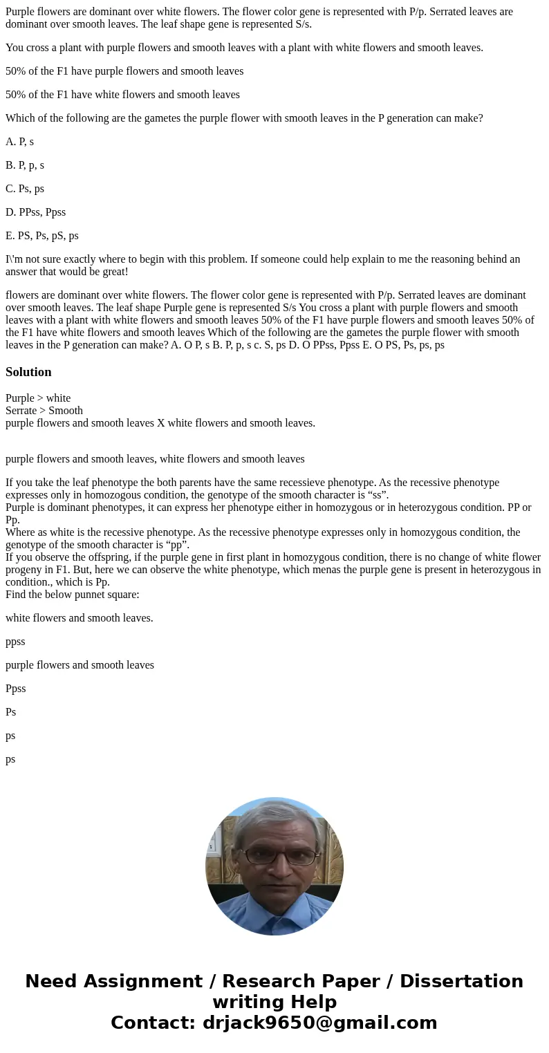 Purple flowers are dominant over white flowers. The flower color gene is represented with P/p. Serrated leaves are dominant over smooth leaves. The leaf shape g