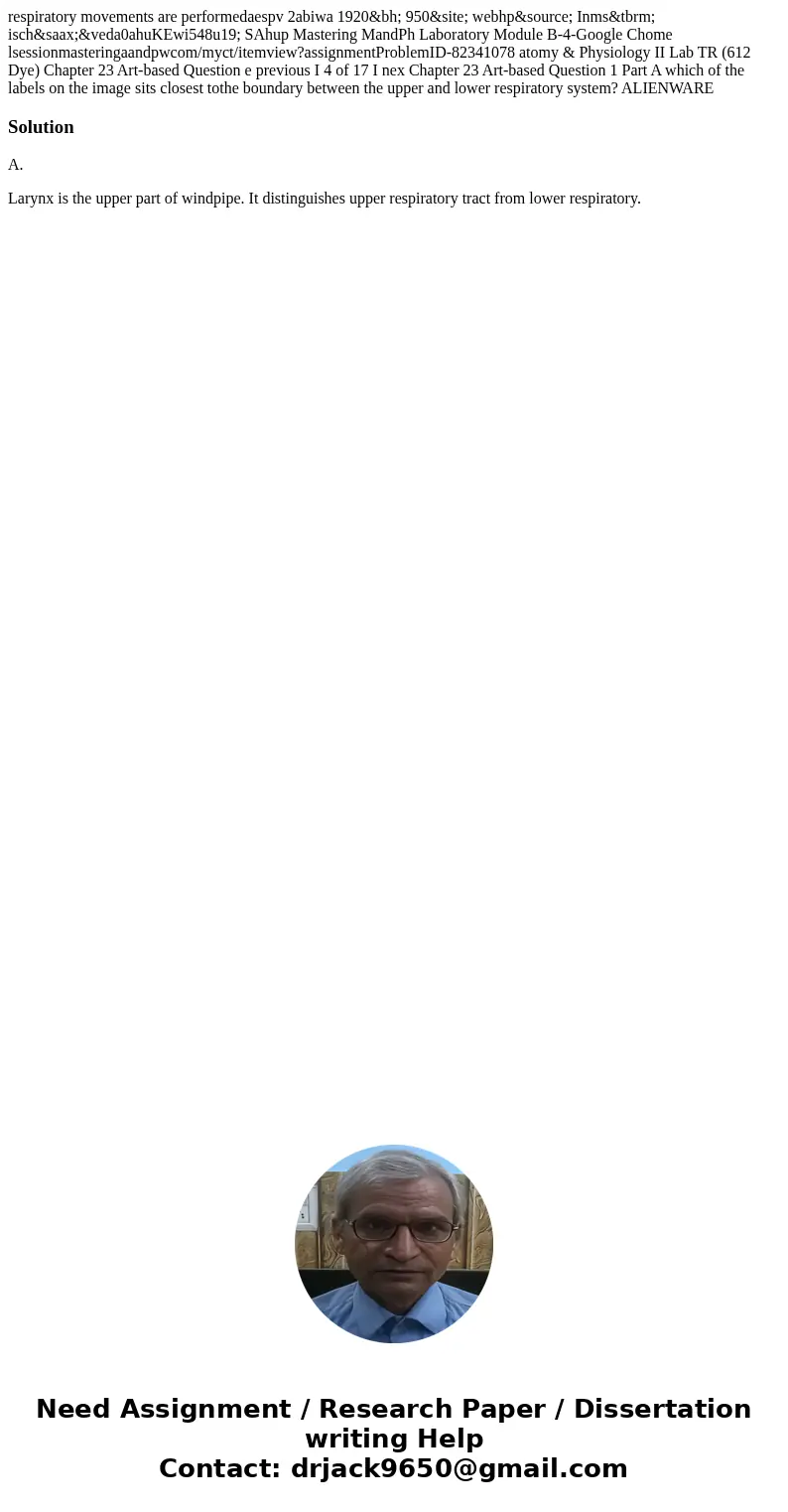respiratory movements are performedaespv 2abiwa 1920&bh; 950&site; webhp&source; Inms&tbrm; isch&saax;&veda0ahuKEwi548u19; SAhup Master  respiratory movements are performedaespv 2abiwa 1920&bh; 950&site; webhp&source; Inms&tbrm; isch&saax;&veda0ahuKEwi548u19; SAhup Master