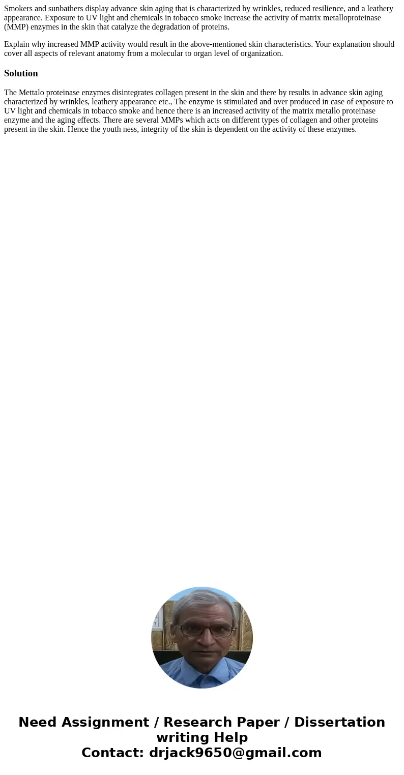 Smokers and sunbathers display advance skin aging that is characterized by wrinkles, reduced resilience, and a leathery appearance. Exposure to UV light and che Smokers and sunbathers display advance skin aging that is characterized by wrinkles, reduced resilience, and a leathery appearance. Exposure to UV light and che