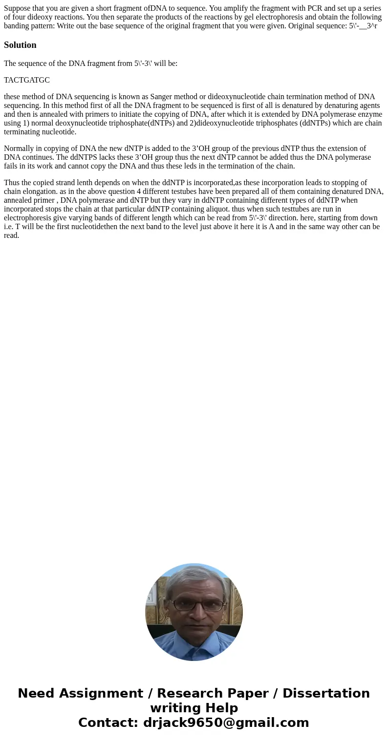 Suppose that you are given a short fragment ofDNA to sequence. You amplify the fragment with PCR and set up a series of four dideoxy reactions. You then separa  Suppose that you are given a short fragment ofDNA to sequence. You amplify the fragment with PCR and set up a series of four dideoxy reactions. You then separa