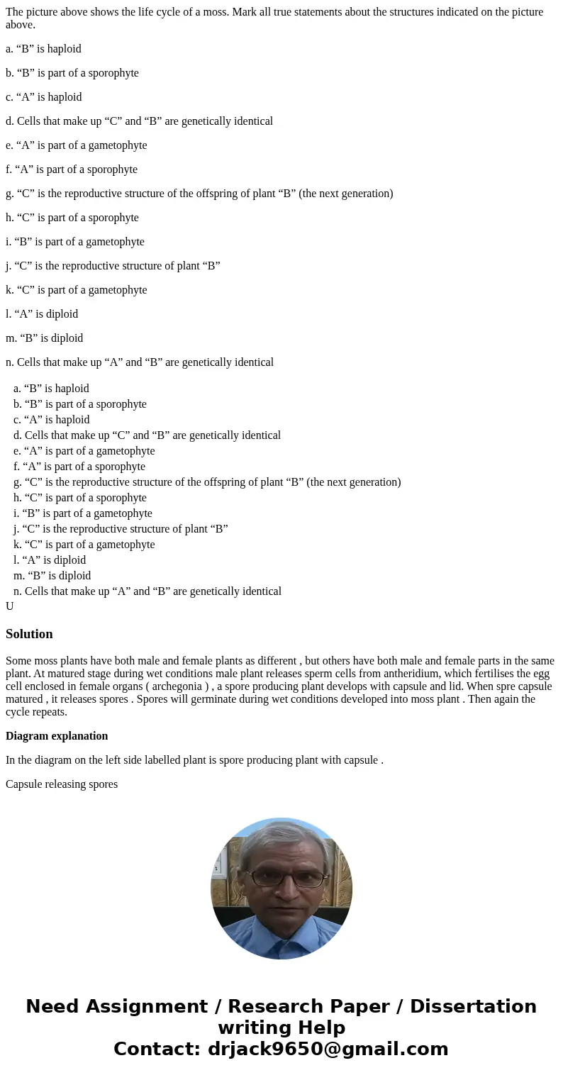 The picture above shows the life cycle of a moss. Mark all true statements about the structures indicated on the picture above. a. “B” is haploid b. “B” is part The picture above shows the life cycle of a moss. Mark all true statements about the structures indicated on the picture above. a. “B” is haploid b. “B” is part