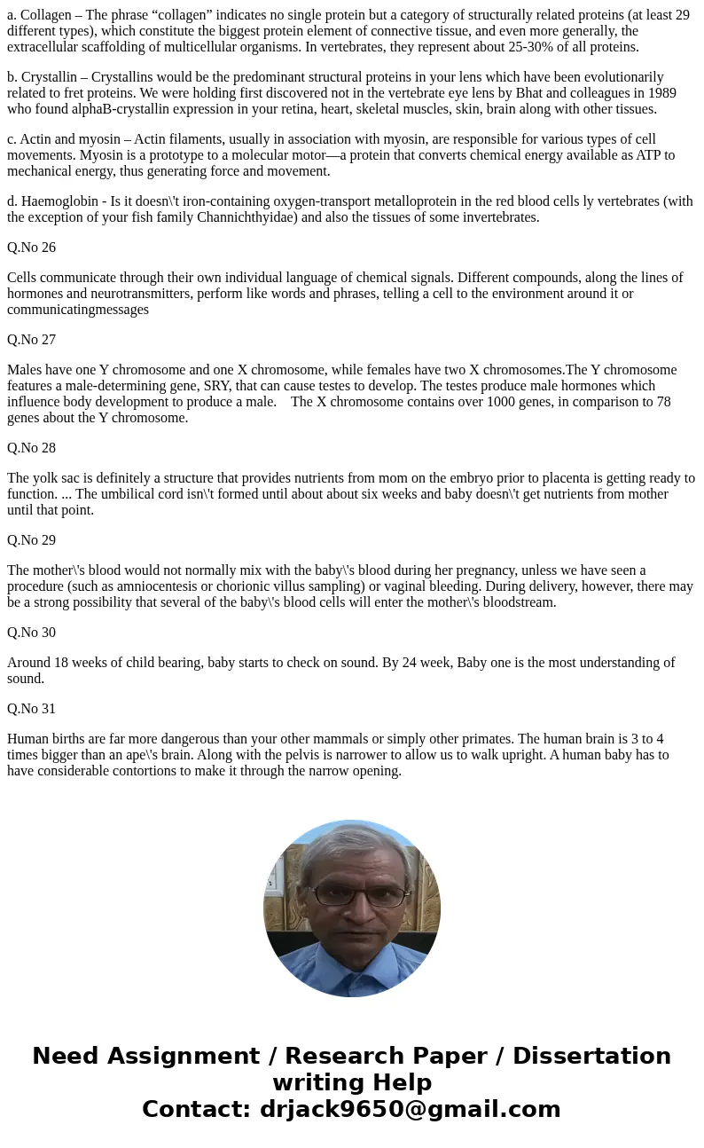 What happens if the dividing zygote accidental separates into two? After fertilizations, how long does it take for the blastocyst to arrive in the uterus? What  What happens if the dividing zygote accidental separates into two? After fertilizations, how long does it take for the blastocyst to arrive in the uterus? What