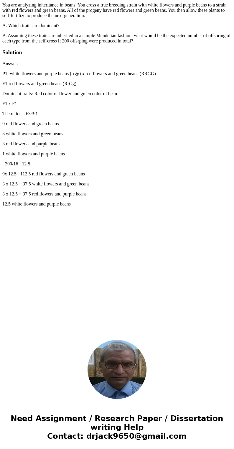 You are analyzing inheritance in beans. You cross a true breeding strain with white flowers and purple beans to a strain with red flowers and green beans. All o You are analyzing inheritance in beans. You cross a true breeding strain with white flowers and purple beans to a strain with red flowers and green beans. All o