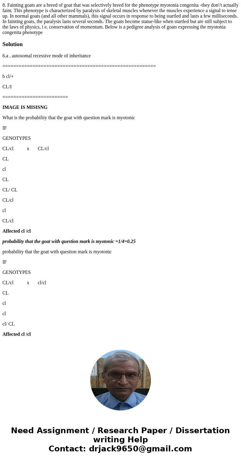  8. Fainting goats are a breed of goat that was selectively breed for the phenotype myotonia congenita -they don\'t actually faint. This phenotype is characteri