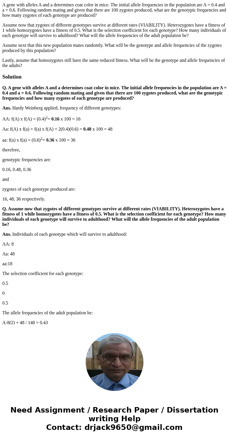 A gene with alleles A and a determines coat color in mice. The initial allele frequencies in the population are A = 0.4 and a = 0.6. Following random mating and