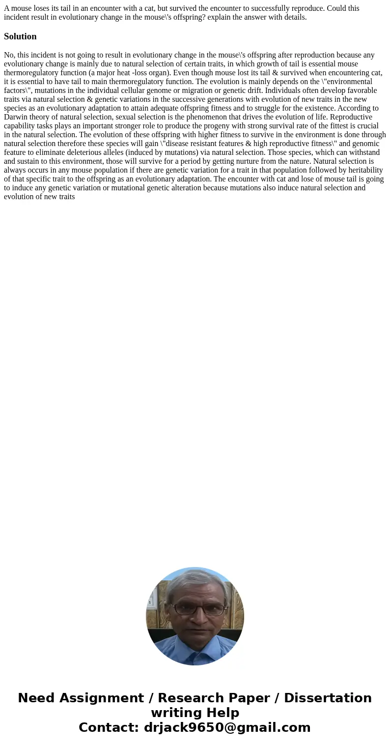 A mouse loses its tail in an encounter with a cat, but survived the encounter to successfully reproduce. Could this incident result in evolutionary change in th A mouse loses its tail in an encounter with a cat, but survived the encounter to successfully reproduce. Could this incident result in evolutionary change in th