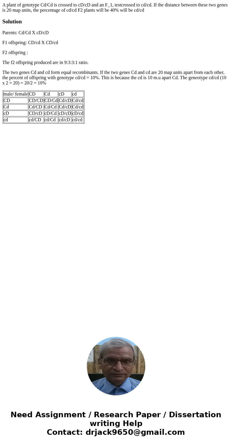 A plant of genotype Cd/Cd is crossed to cD/cD and an F_1, testcrossed to cd/cd. If the distance between these two genes is 20 map units, the percentage of cd/c  A plant of genotype Cd/Cd is crossed to cD/cD and an F_1, testcrossed to cd/cd. If the distance between these two genes is 20 map units, the percentage of cd/c