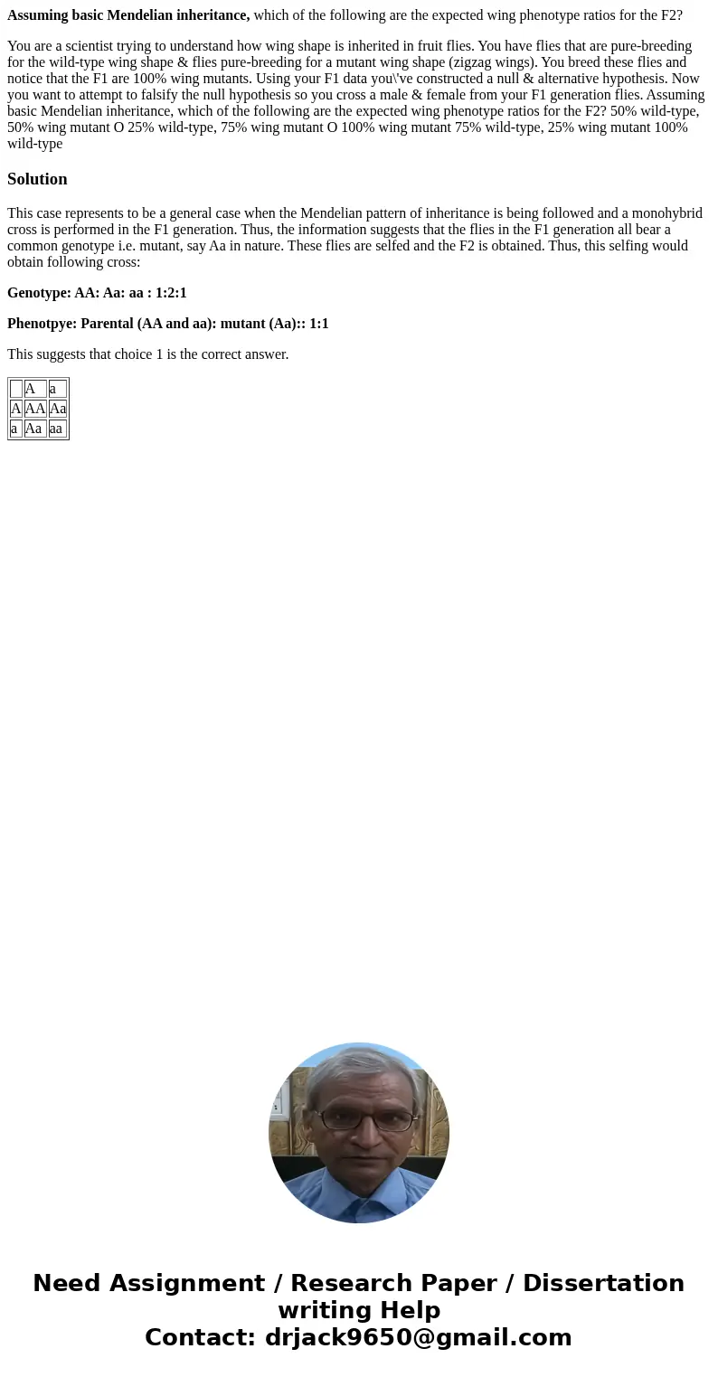Assuming basic Mendelian inheritance, which of the following are the expected wing phenotype ratios for the F2? You are a scientist trying to understand how win Assuming basic Mendelian inheritance, which of the following are the expected wing phenotype ratios for the F2? You are a scientist trying to understand how win