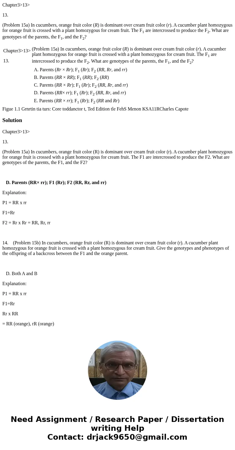Chapter3>13> 13. (Problem 15a) In cucumbers, orange fruit color (R) is dominant over cream fruit color (r). A cucumber plant homozygous for orange fruit i Chapter3>13> 13. (Problem 15a) In cucumbers, orange fruit color (R) is dominant over cream fruit color (r). A cucumber plant homozygous for orange fruit i