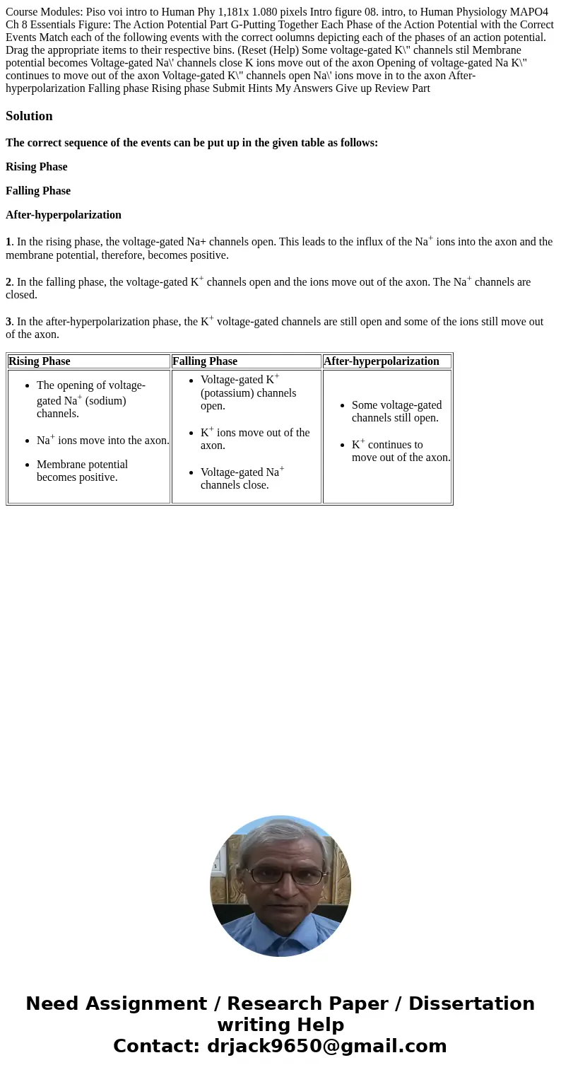 Course Modules: Piso voi intro to Human Phy 1,181x 1.080 pixels Intro figure 08. intro, to Human Physiology MAPO4 Ch 8 Essentials Figure: The Action Potential   Course Modules: Piso voi intro to Human Phy 1,181x 1.080 pixels Intro figure 08. intro, to Human Physiology MAPO4 Ch 8 Essentials Figure: The Action Potential